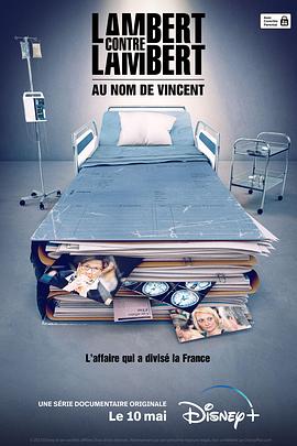 Lambert contre Lambert : Au nom de Vincent Season 1(2023)海报