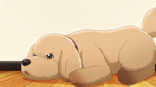 爱犬指令剧照