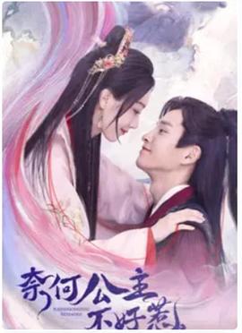 奈何公主不好惹(2023)海报
