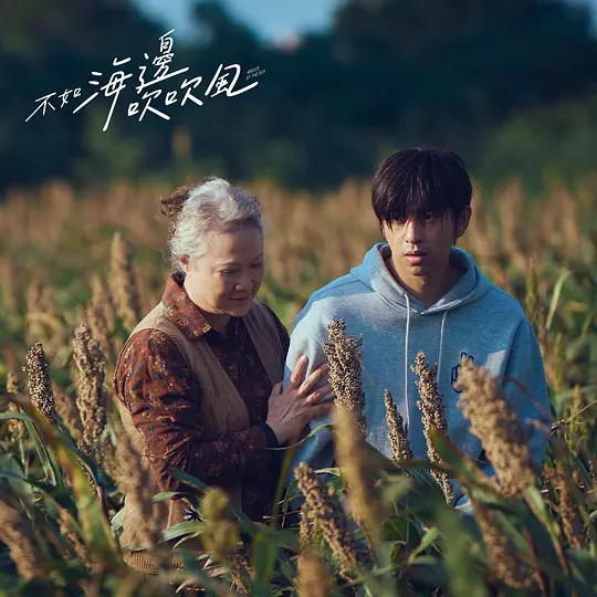 不如海边吹吹风剧照