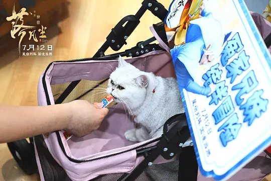 落凡尘剧照