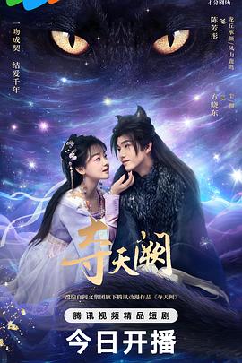 夺天阙(2025)海报