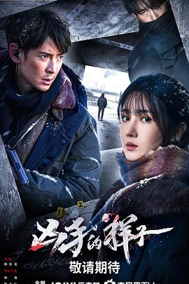 凶手的样子(2024)海报