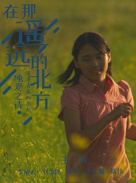 在那遥远的北方(2024)海报