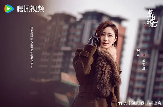 我叫赵出息剧照