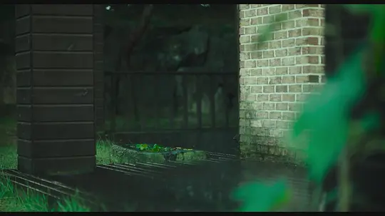 长春花园剧照