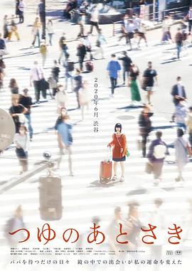 雨季过后(2024)海报
