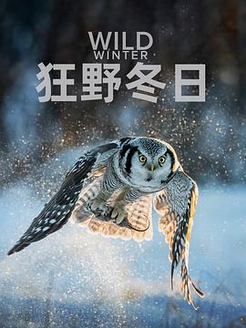 狂野冬日 第一季(2024)海报
