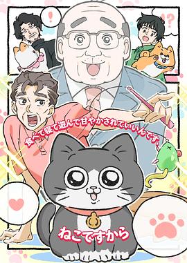 转生成猫的大叔(2024)海报