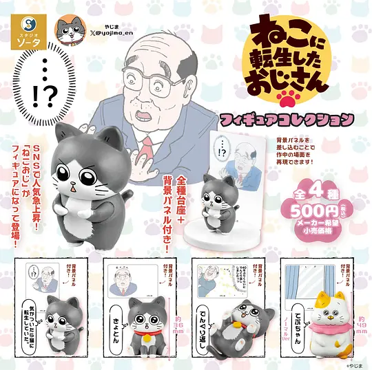 转生成猫的大叔剧照