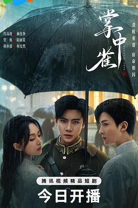 掌中雀(2025)海报