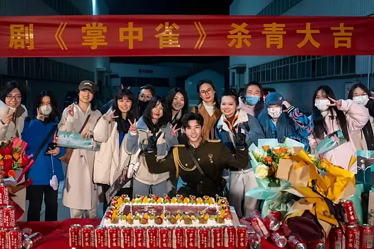 掌中雀剧照