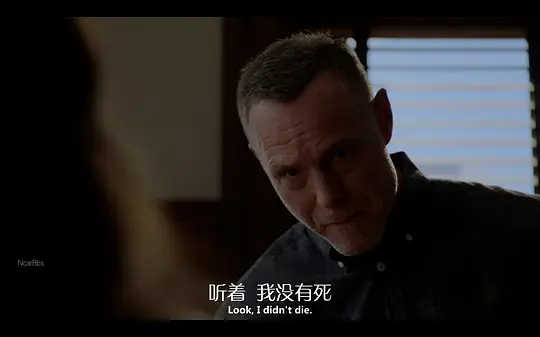 芝加哥警署 第十二季剧照