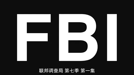 联邦调查局 第七季剧照