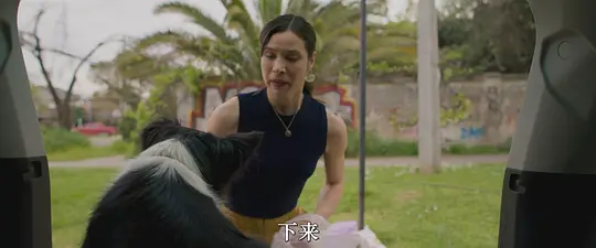 救我狗命剧照
