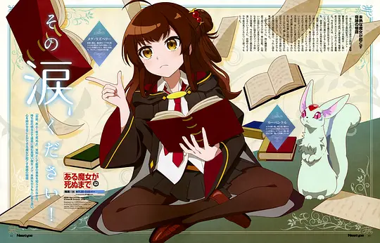 直至魔女消逝剧照