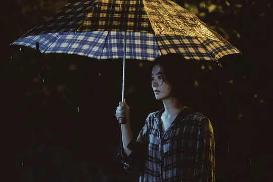 向阳·花剧照