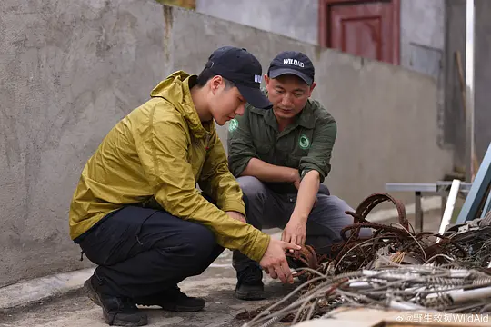 寻护者剧照