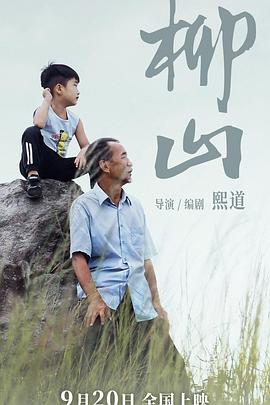 柳山(2024)海报