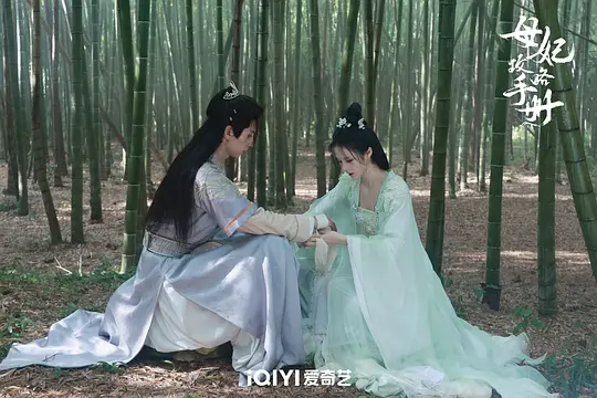 母妃攻略手册剧照