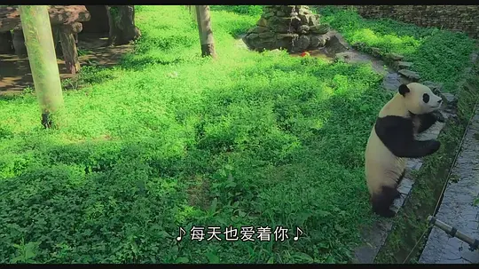 再见,福宝剧照