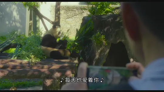 再见,福宝剧照