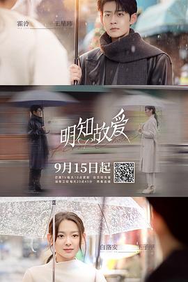 明知故爱(2024)海报