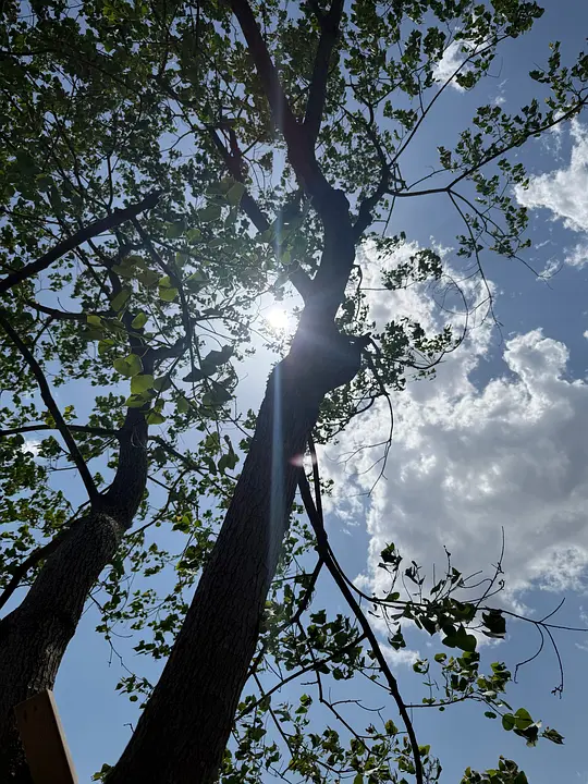 种地吧3剧照