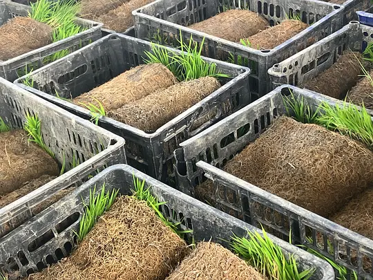 种地吧3剧照