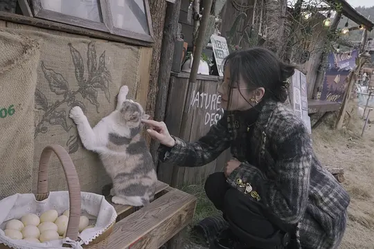 开始推理吧 第三季剧照