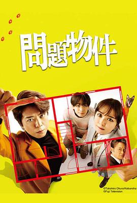 问题住宅(2025)海报