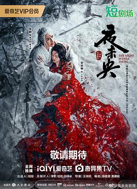 夜未央(2024)海报
