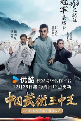 中国武术王中王(2024)海报