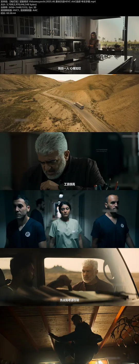 坚毅奇兵剧照