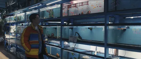 章鱼!剧照