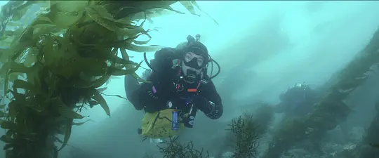 章鱼!剧照