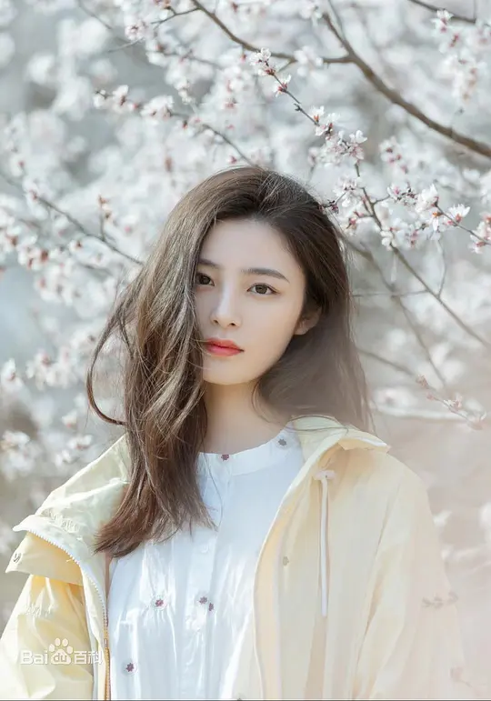 姚晓棠