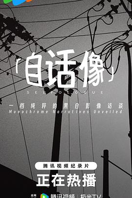自话像(2025)海报