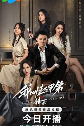 我叫赵甲第之锋芒(2025)海报