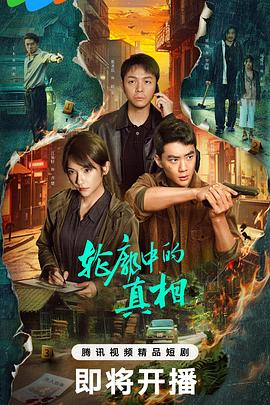 轮廓中的真相(2025)海报
