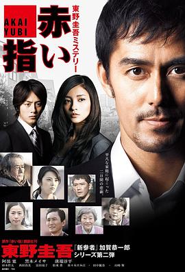 红手指(2011)海报