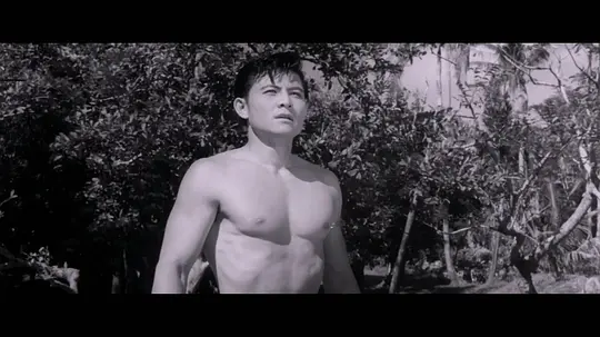 泰山与宝藏剧照