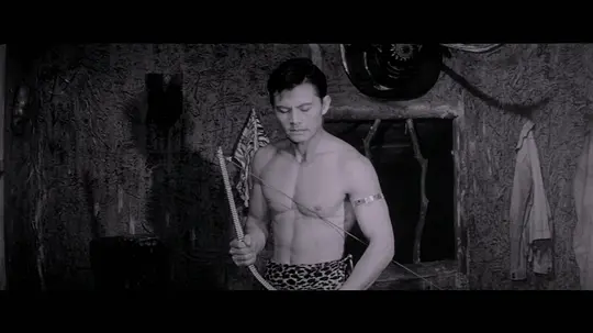 泰山与宝藏剧照