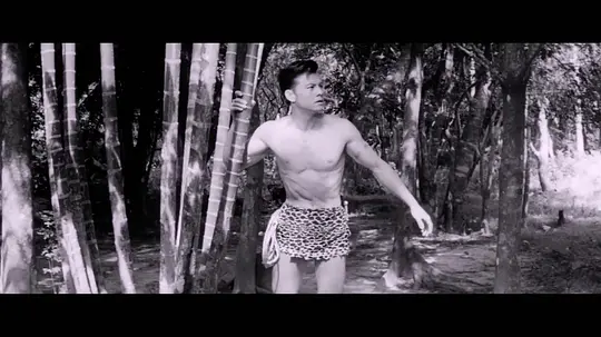泰山与宝藏剧照