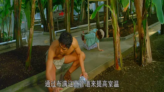 罗马浴场剧照